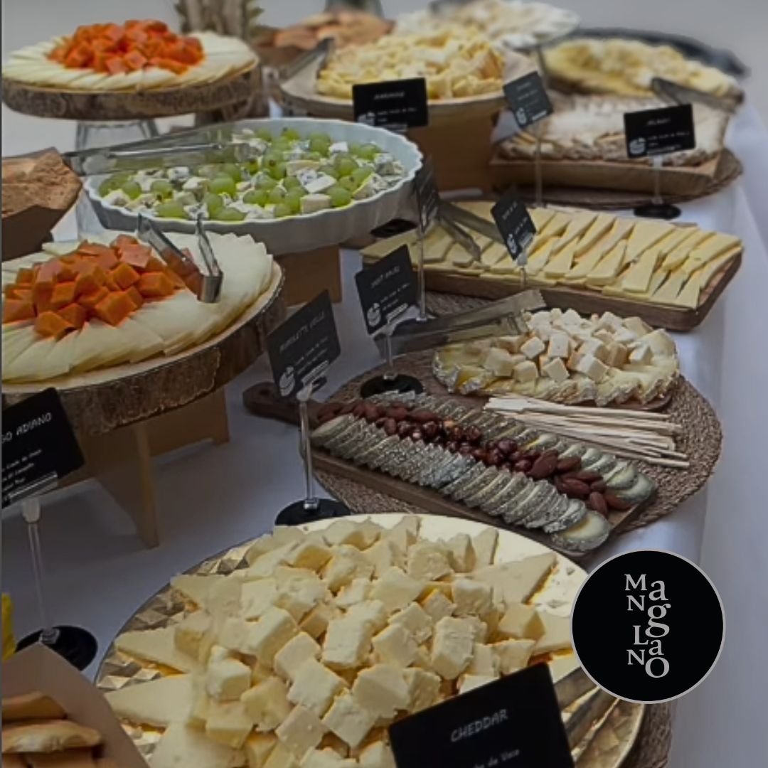 Prepara los mejores aperitivos gourmet para fiestas en Charcutería Manglano. Jamones, quesos y más para sorprender a tus invitados.