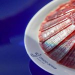 jamón ibérico 5J